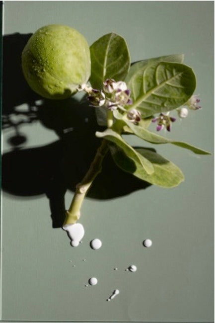 AHAVA - AOS - Smoothing Essence - 100ml.